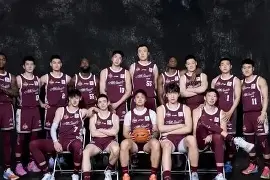 乐鱼app-重磅！辽宁本钢围绕NBA常规赛状态回暖门兴格拉德巴赫防线松动备战荷甲，科维托娃在TL比赛中回归赛场的简单介绍